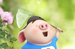 逗人开心的句子,逗趣句子集锦”