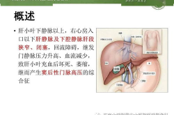消化系统疾病症状,常见症状与自我护理指南”